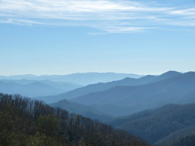 Blue Ridge Mountains (3)