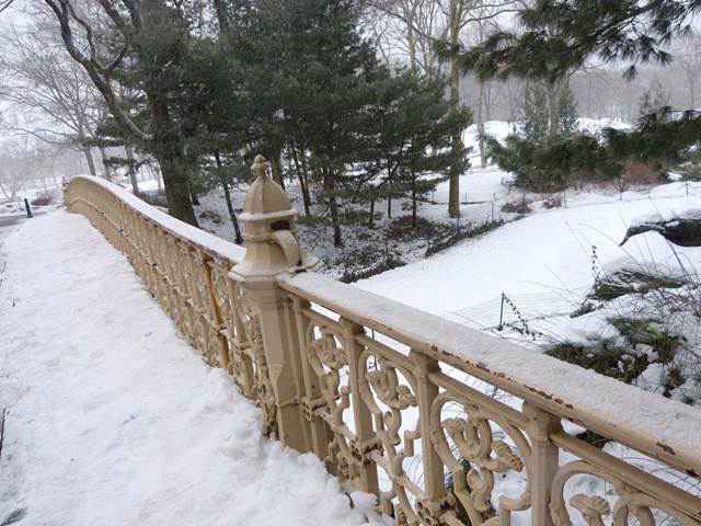 central-park-snow (6)
