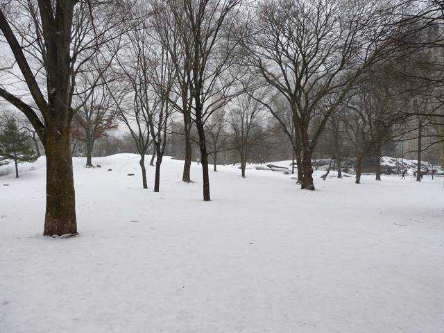 central-park-snow (8)