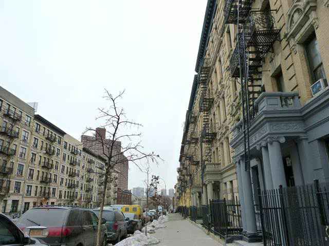 Harlem (4)
