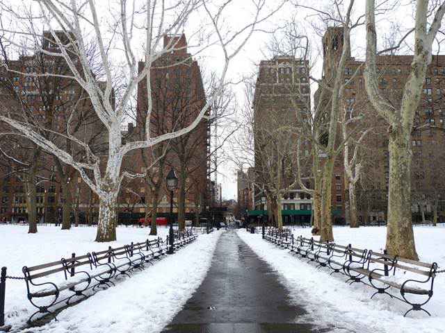 Washington Square Park (7)