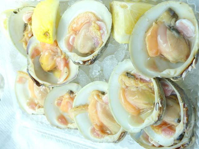 boston-clam
