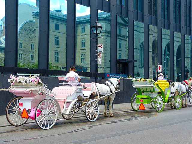 Old Montreal (13)
