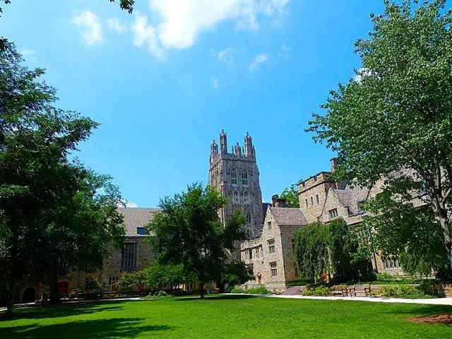 Yale (5)