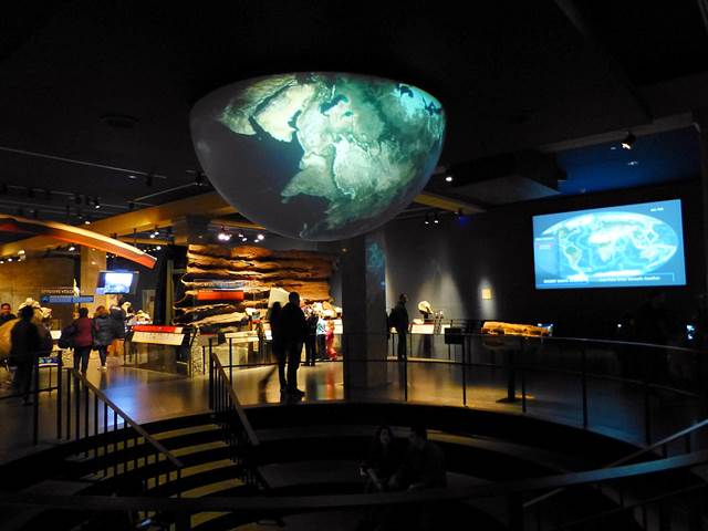 American Museum of Natural History (17)