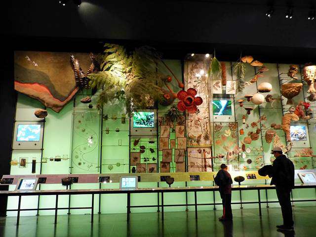 American Museum of Natural History (23)