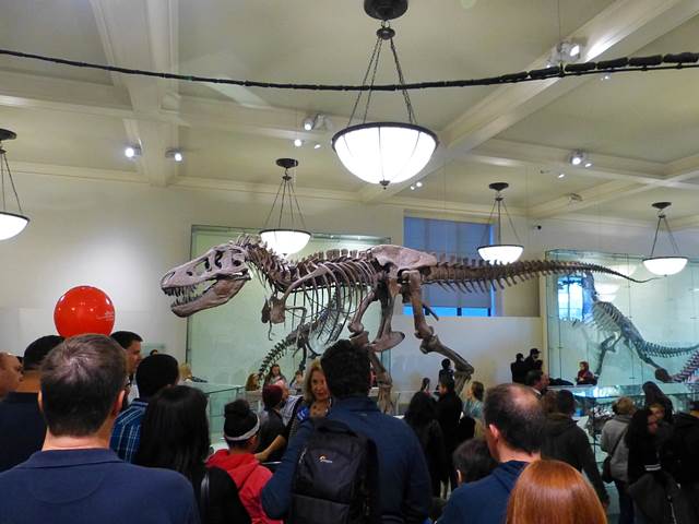 American Museum of Natural History (5)
