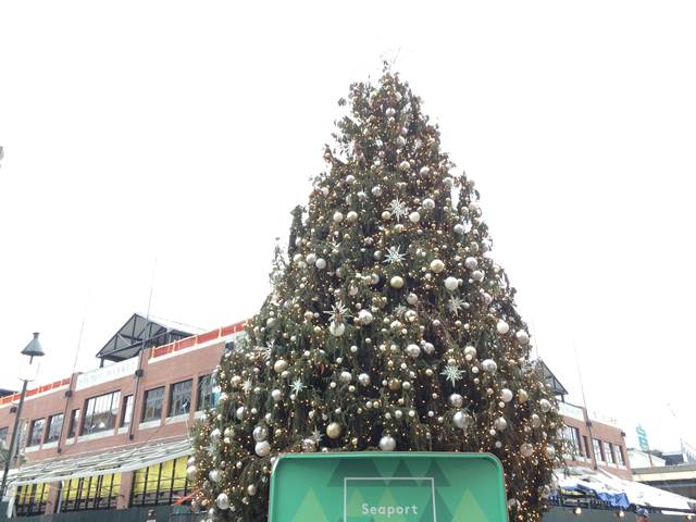 SouthStreetSeaportChristmas (5)
