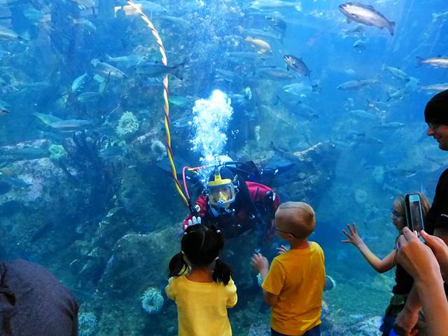 Seattle Aquarium (3)