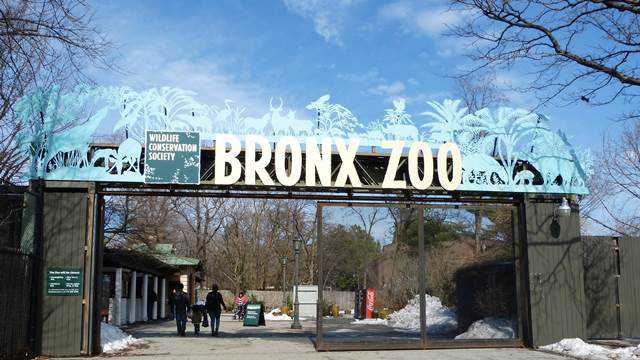 BronxZoo (2)