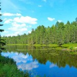 アルゴンキン州立公園 Algonquin Provincial Park 美しい緑と湖のカナダの大自然を堪能！