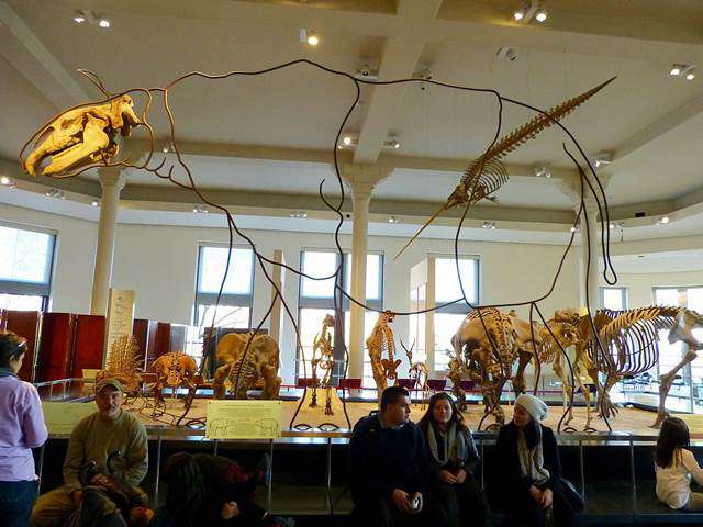 American Museum of Natural History (10)