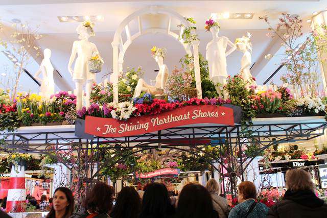 Macy's Flower Show (6)