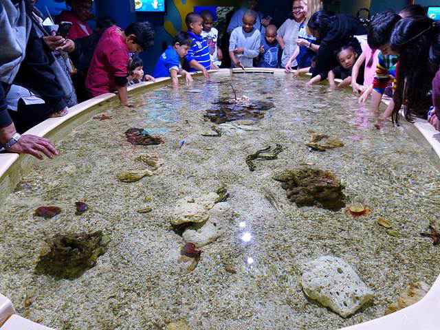 Adventure Aquarium (9)