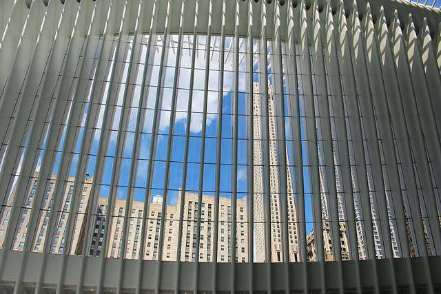 Oculus Westfield WTC (13)