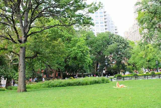 Washington Square Park in Summer (4)