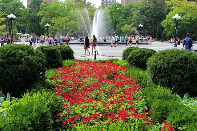 Washington Square Park in Summer (7)
