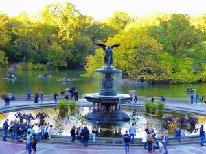 new-york-foliage-central-park