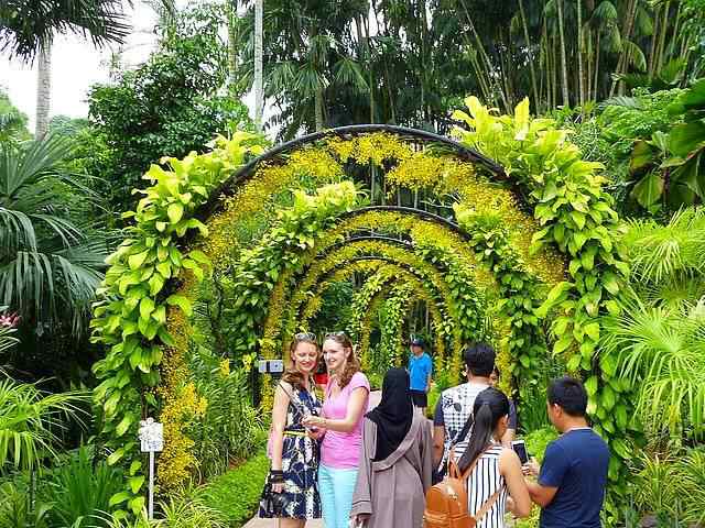 シンガポール植物園の見どころ 必見の世界遺産観光 美し過ぎるオーキッドの楽園 シンガポールボタニックガーデン Petite New York