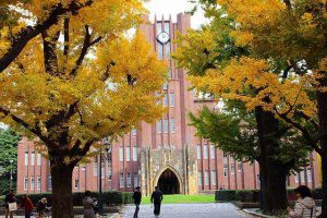 University of Tokyo (35)