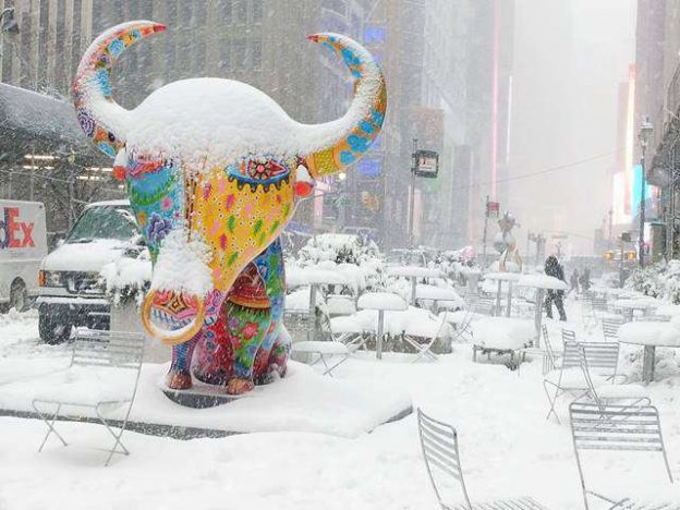 Snow in NYC (1)