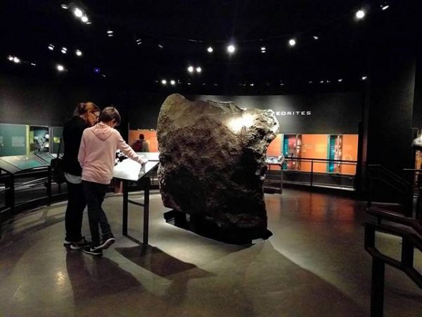 ニューヨーク アメリカ自然史博物館 見どころと回り方徹底紹介！ - Petite New York image.