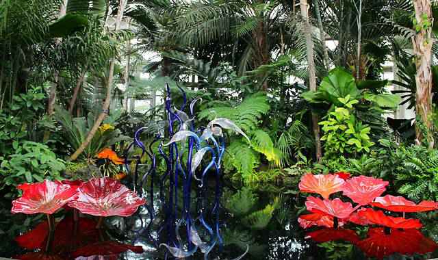 CHIHULY (5)
