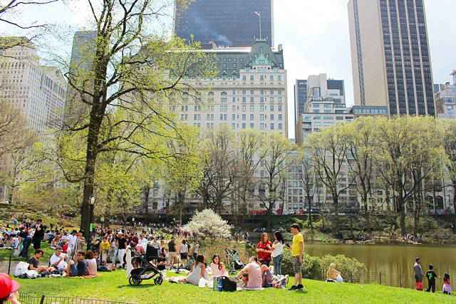 Central Park Spring (29)