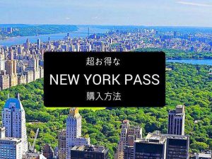 NYPASS how to