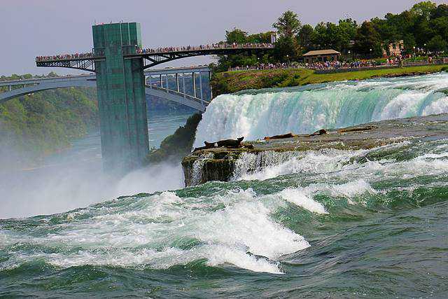 Niagara Falls NY (15)