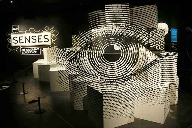 American Museum of Natural History – Our Senses (1)