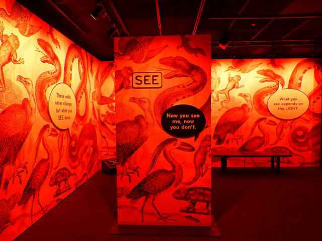 American Museum of Natural History – Our Senses (7)