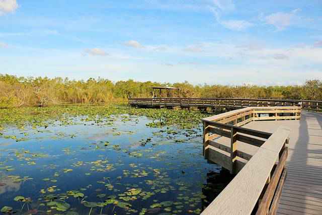 Everglades National Park (4)