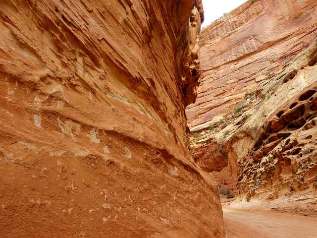 Capitol Reef National Park (18)