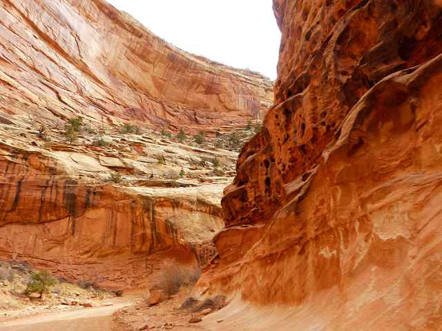 Capitol Reef National Park (19)