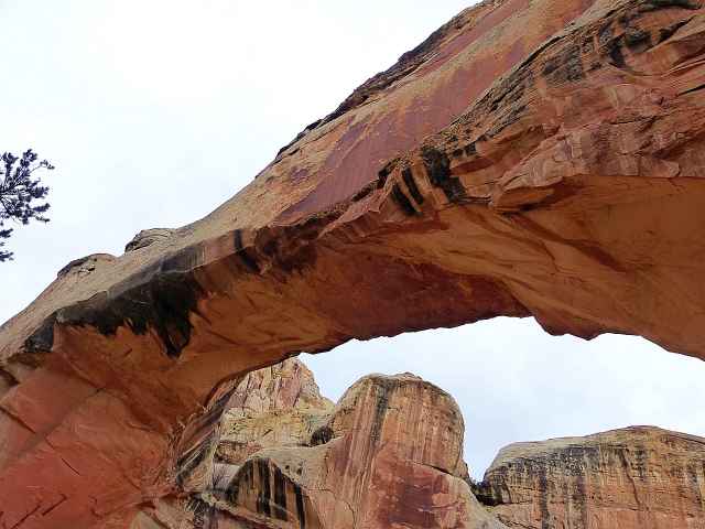 Capitol Reef National Park (8)