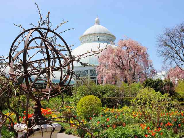 New York Botanical Garden (17)
