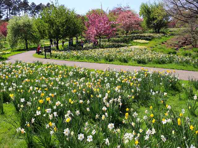 New York Botanical Garden (4)