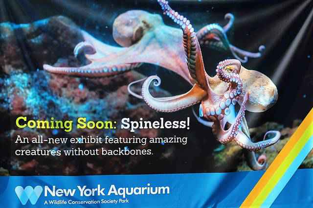 New York Aquarium (8)