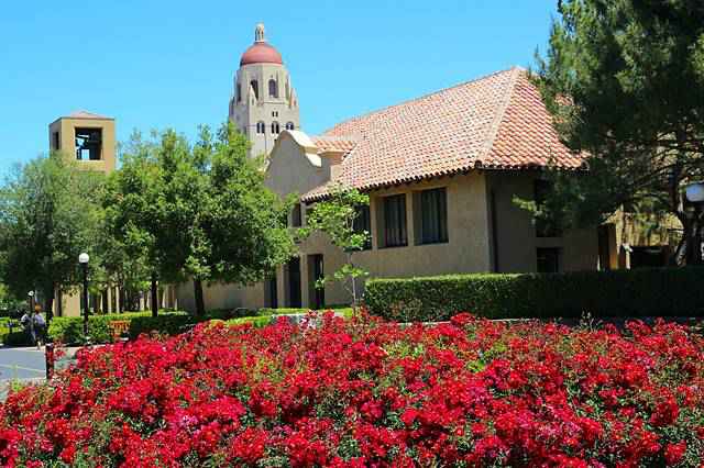 Stanford University (26)