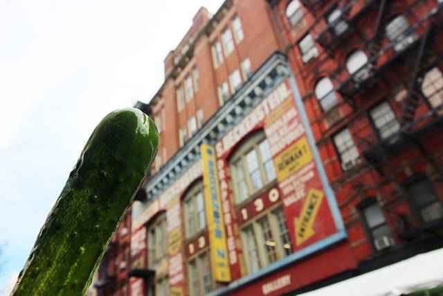 Pickle Day (2)