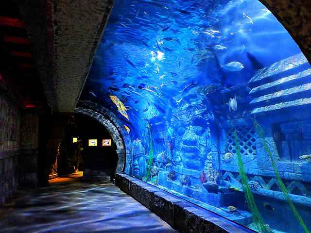 Downtown Aquarium