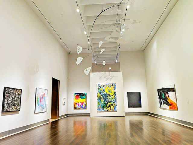 Museum of Fine Arts, Houston