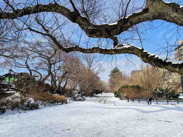 Central Park in Snow (2)