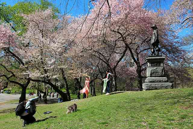 Central Park New York (3)