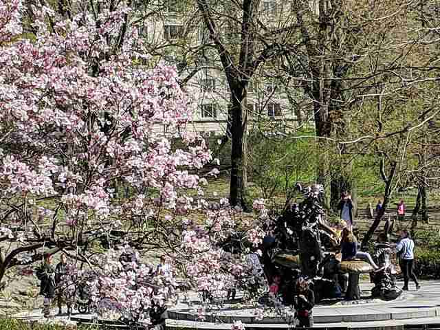 Central Park New York (9)