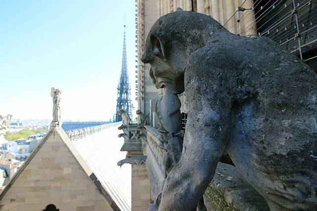 Notre Dame Paris (16)