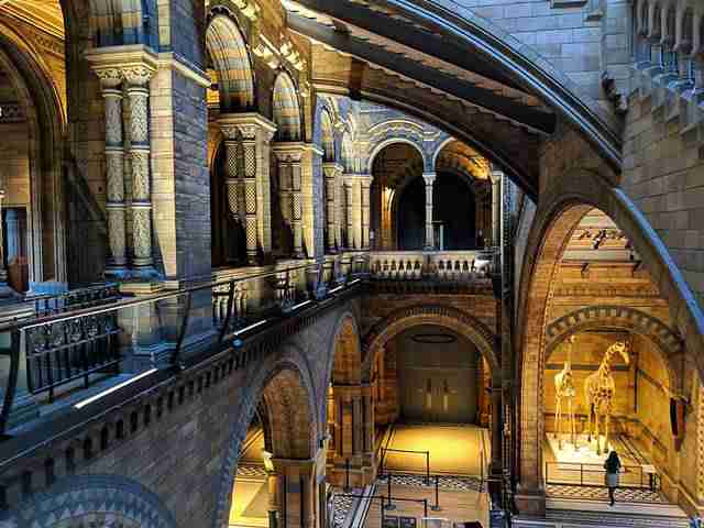 ロンドン自然史博物館 見どころと回り方 迫力のビクトリア様式建築の歴史ある人気ミュージアム Petite New York