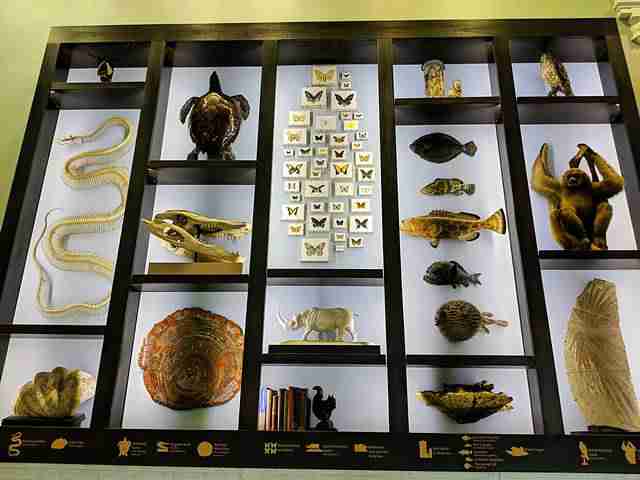 The Academy of Natural Sciences of Drexel University (17)