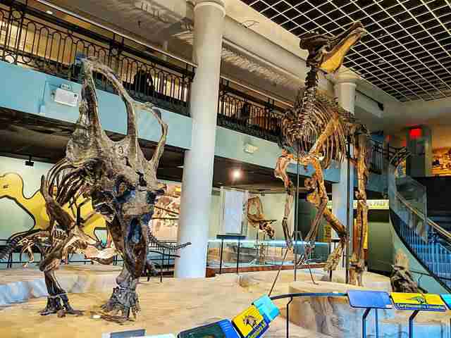The Academy of Natural Sciences of Drexel University (22)